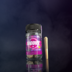 Baddiez Prerolls Washington DC VIrginia