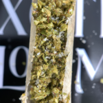 Baddiez Prerolls Washington DC VIrginia