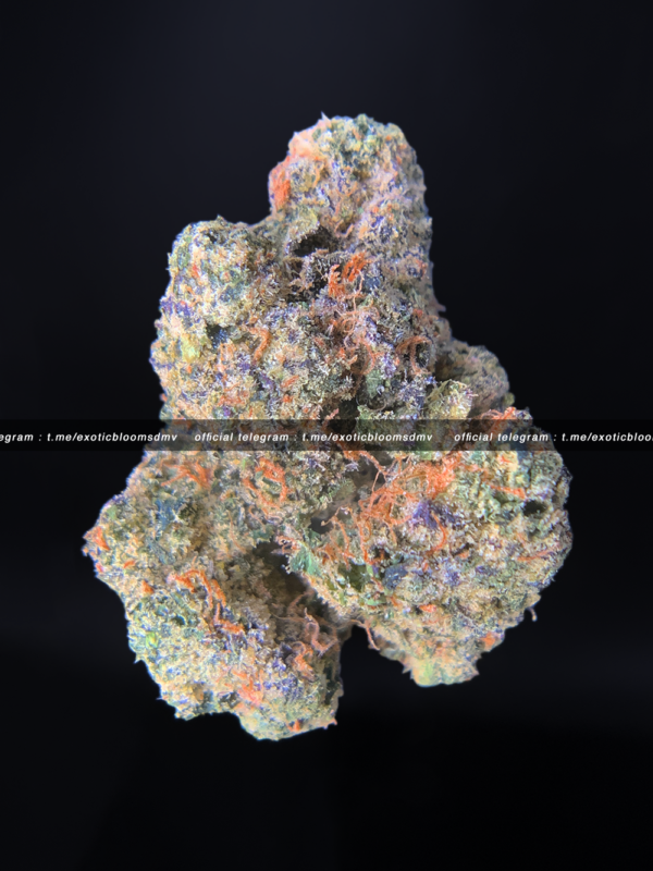 stiiizy black label flower washington Dc Virginia