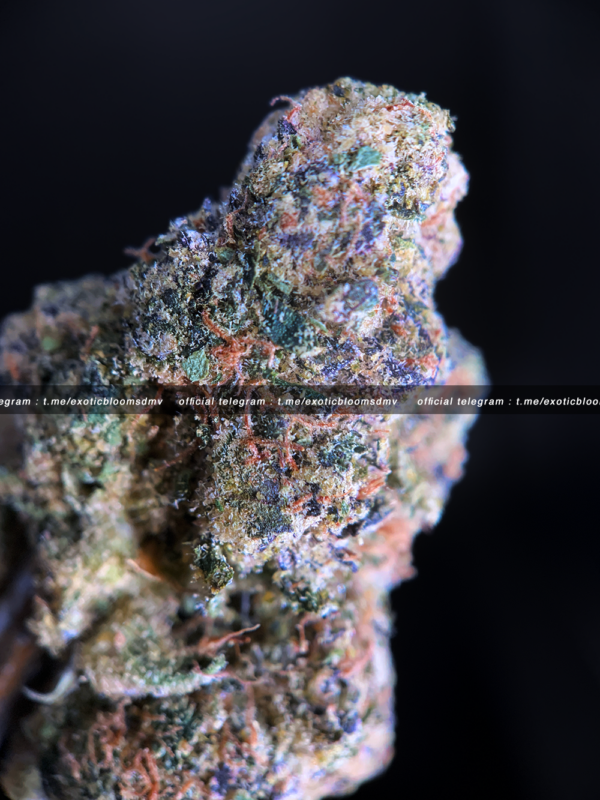 stiiizy black label flower washington Dc Virginia
