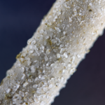 EB Diamond Joints Washington DC Virgina Maryland
