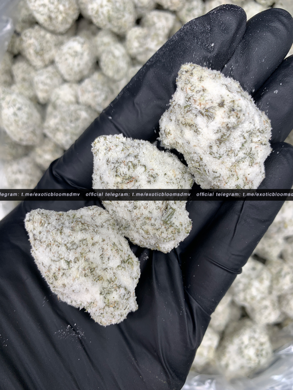 mango snowcaps gasface strain washington dc virginia