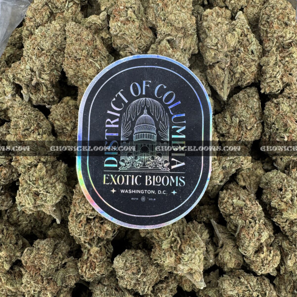 OG Kush Strain – Classic Hybrid for VA & DC Weed Delivery