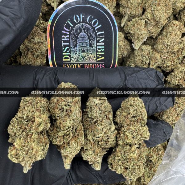 OG Kush Strain – Classic Hybrid for VA & DC Weed Delivery