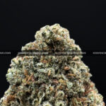 OG Kush Strain – Classic Hybrid for VA & DC Weed Delivery