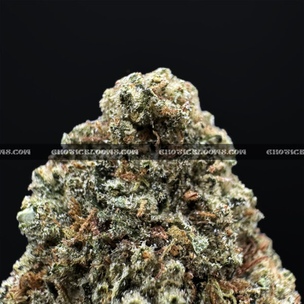 OG Kush Strain – Classic Hybrid for VA & DC Weed Delivery