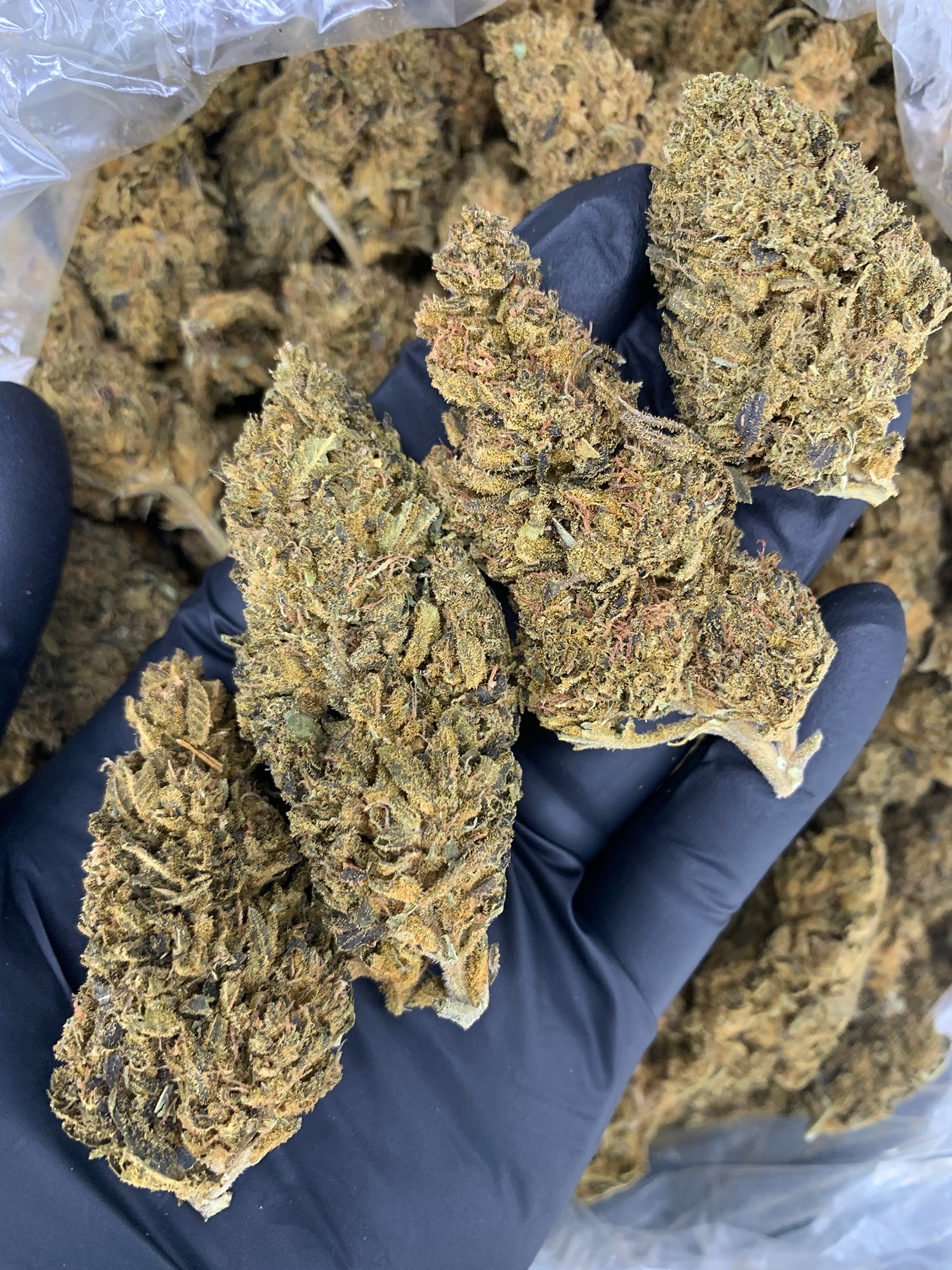 OG Kush – Sativa – Flash Oz Deal